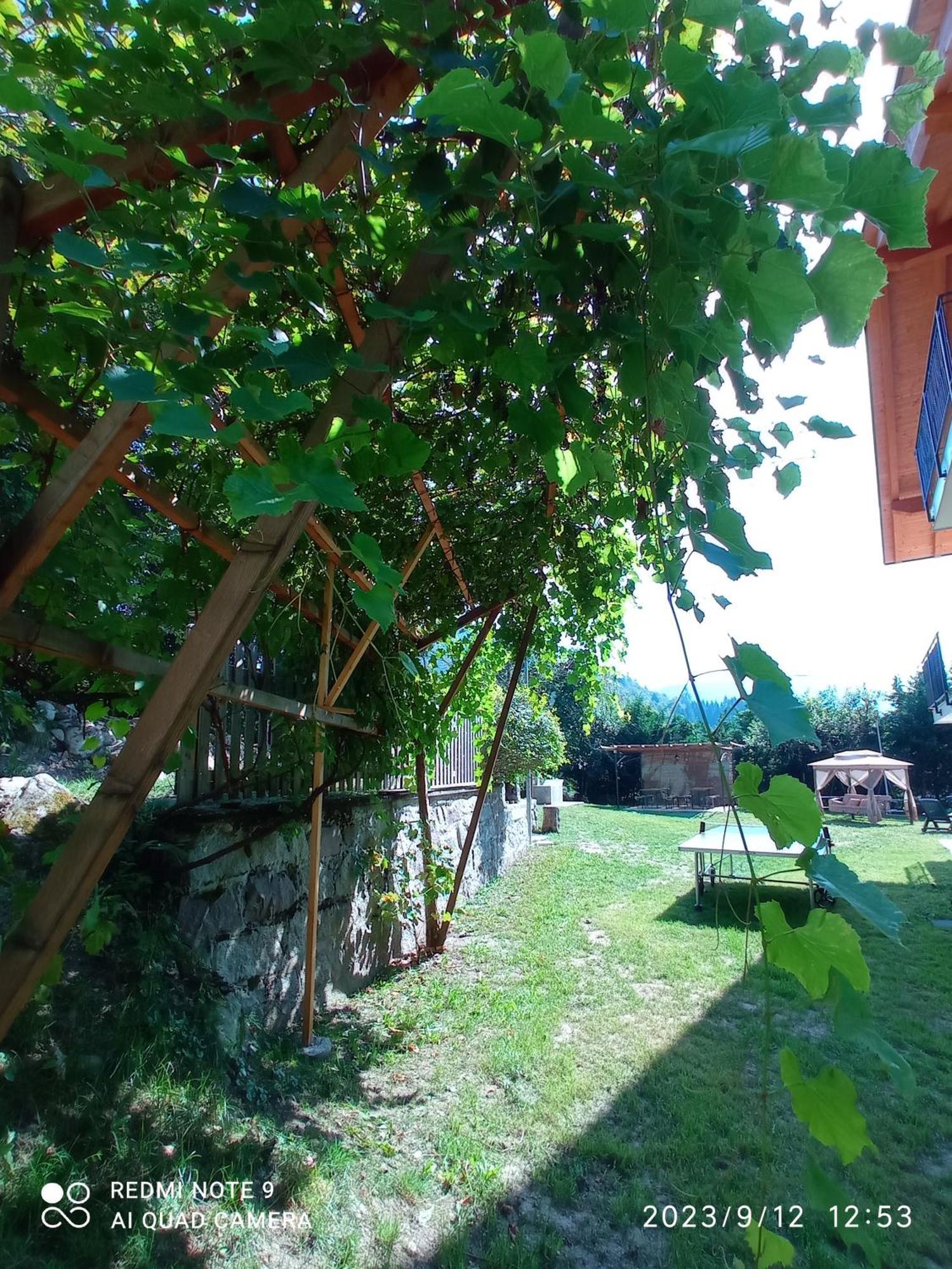 Baita Figliezzi Castello Tesino Kültér fotó